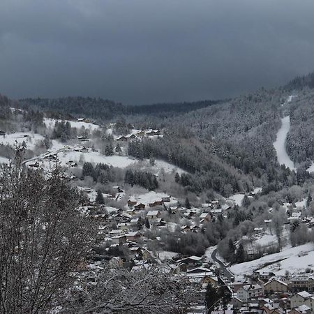 Apartement Sur Les Hauteurs De Gerardmer Avec Une Superbe Vue Eksteriør billede