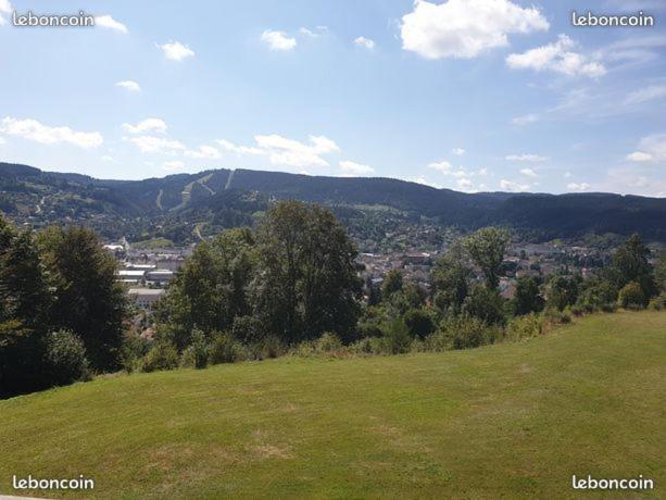 Apartement Sur Les Hauteurs De Gerardmer Avec Une Superbe Vue Eksteriør billede